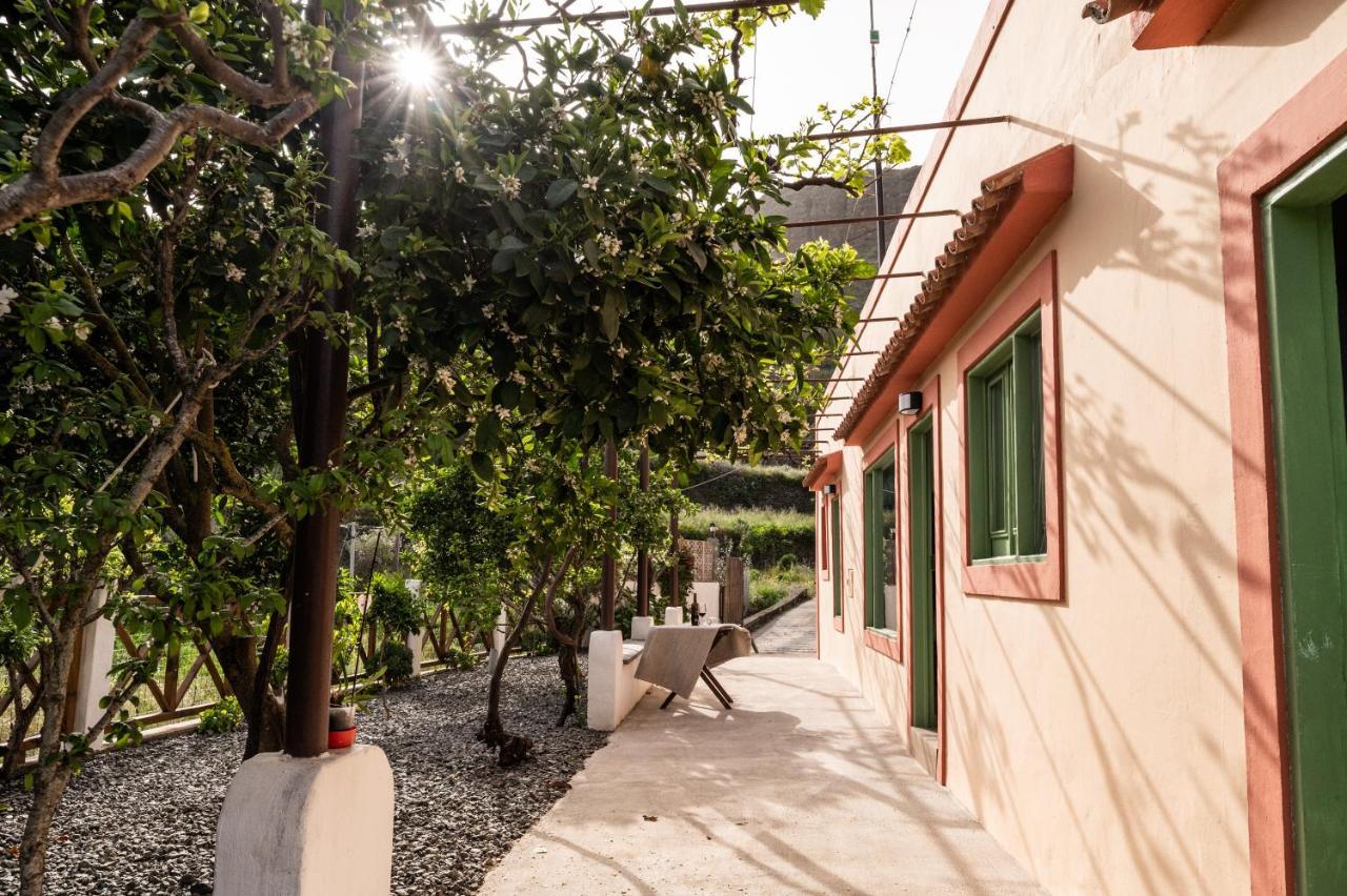 Casa Rural Bejeque Терор Екстер'єр фото